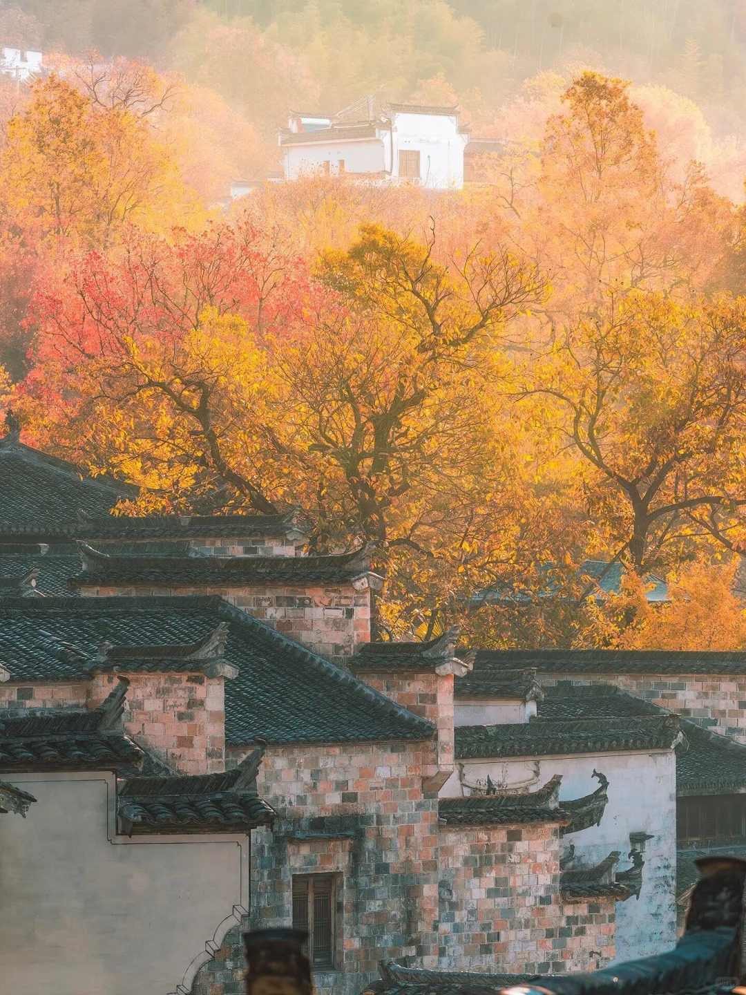 被《国家地理》评为皖南最美古村的秋天多震撼_3_时线旅行-野奢度假_宏村西递-古镇-来自52tours 我爱旅游网